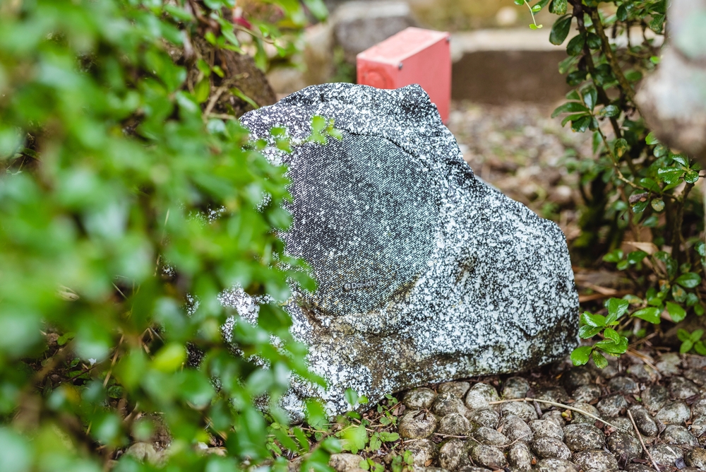 Nature Meets Technology: Transforming Your Outdoor Space with Rock Series 6" Satellite Speakers